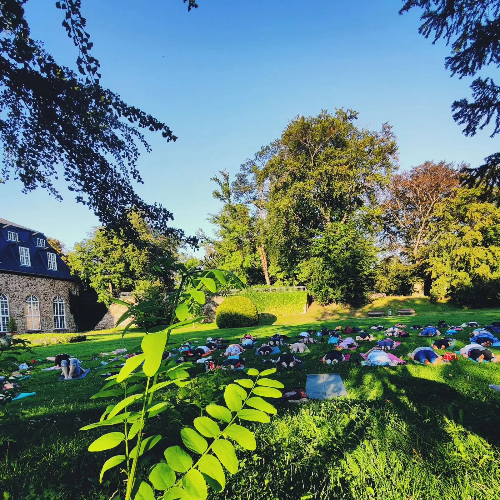 Yoga im Lustgarten - Yoga Adya Wernigerode